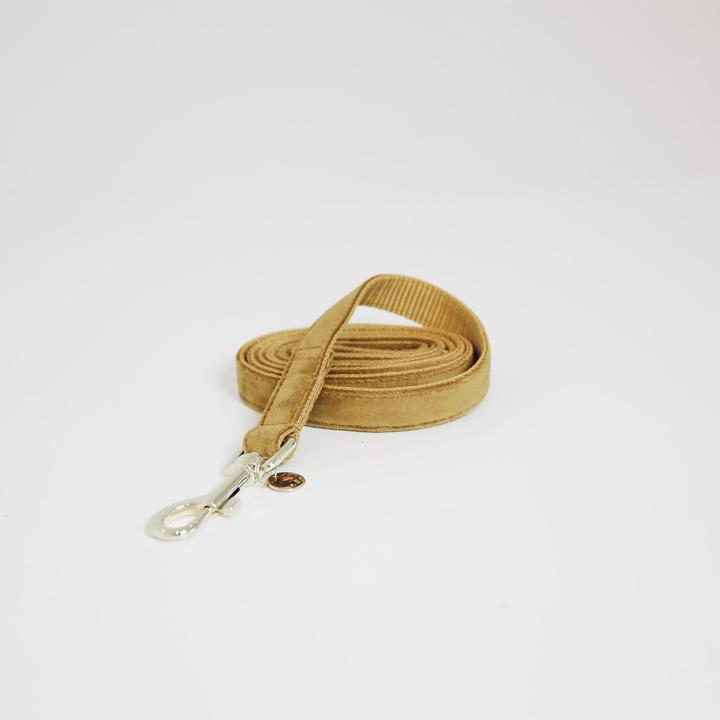 Produktbild Kentucky Dogwear Hundeleine Velvet (L, Hund, Allgemein)