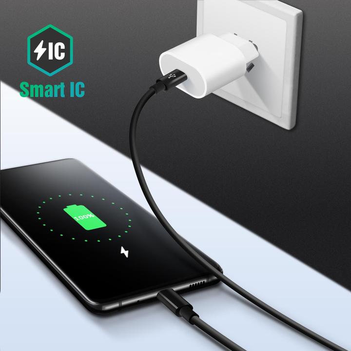 Actual product image Avizar USB-C Power Delivery 20W Fast Charging Power Adapter (20 W)