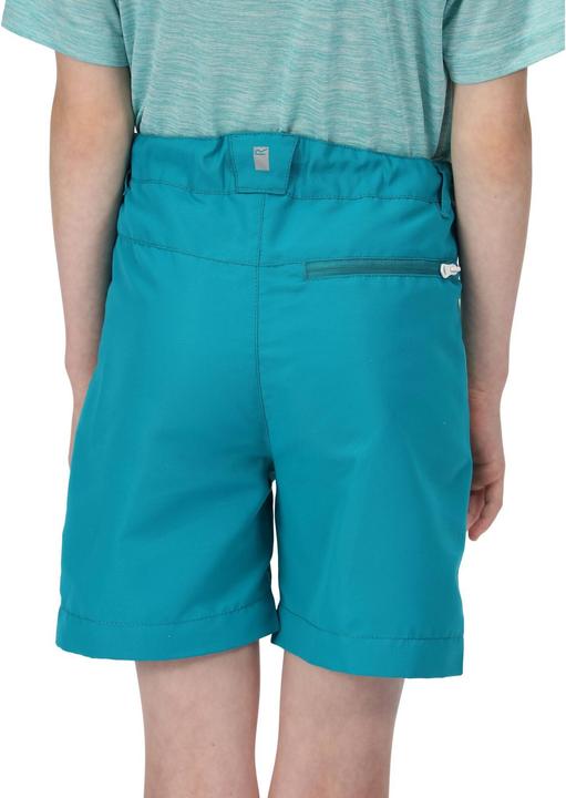Actual product image Regatta Sorcer Ii Shorts (164)
