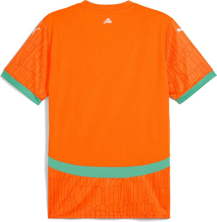 Actual product image Puma FIF Home Jersey Replica (S)