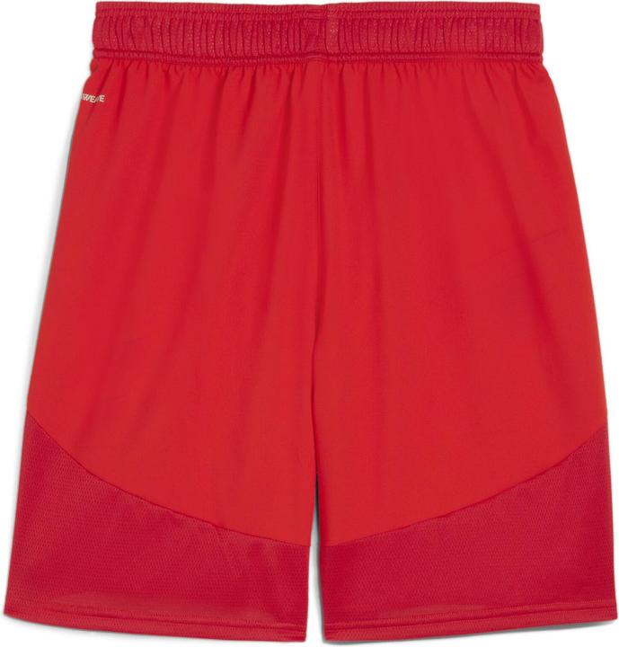 Actual product image Puma teamFINAL Shorts (L)