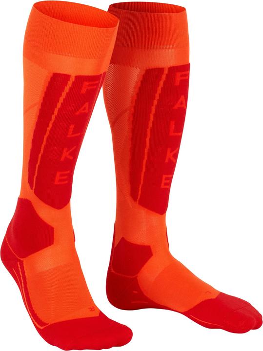 Actual product image Falke SK5 Women (39 - 40)