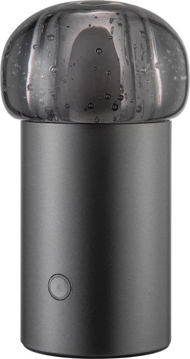 Blomus IRIS dispositivo mobile a LED per interni ed esterni antracite metallizzato (115 lm)