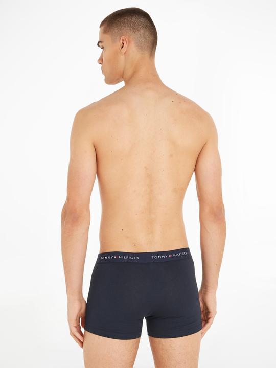 Actual product image Tommy Hilfiger Trunk (L, pack of 3)