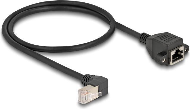 Immagine prodotto Delock Cavo di estensione della rete S/FTP connettore RJ45 (S/FTP, CAT6a, 0.50 m)