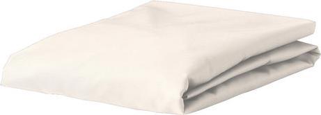 Produktbild Esprit Uni Jersey (200 x 200 cm)
