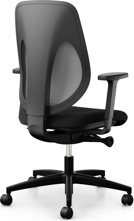 Image du produit Giroflex 353 Netzrücken mit Armlehnen XTREME