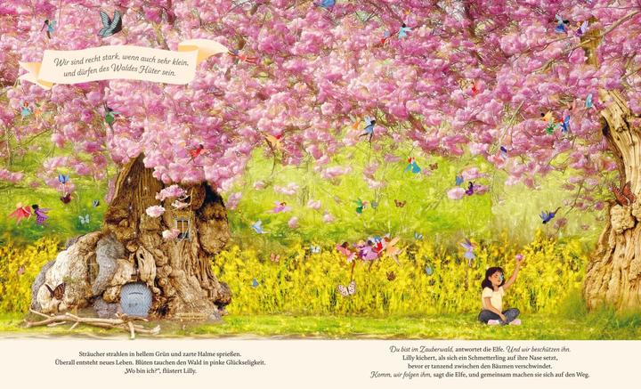 Produktbild Hinter der Elfentür (Deutsch, Lars van de Goor, Giulia Tomai, Gabby Dawnay, 2023)