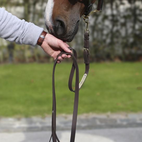 Actual product image Kentucky Horsewear Demonstration rope 2m Biothane Beta