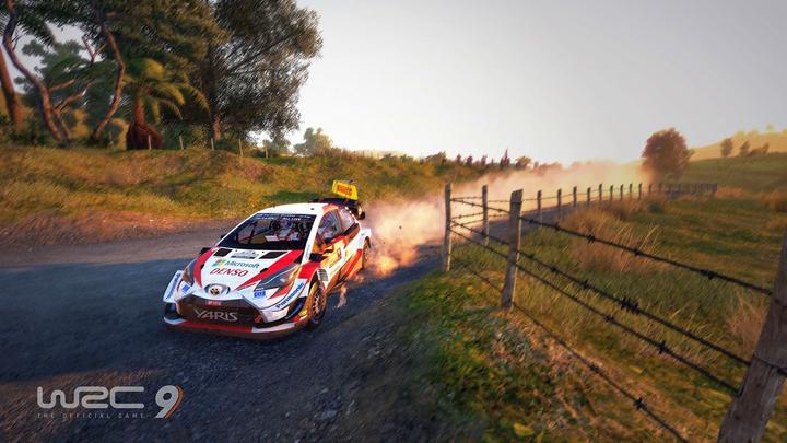 Actual product image Nacon Gaming WRC 9 (PS5, Multilingual)