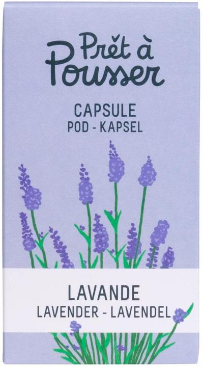 Prêt à Pousser Lavanda (Semi di erbe)