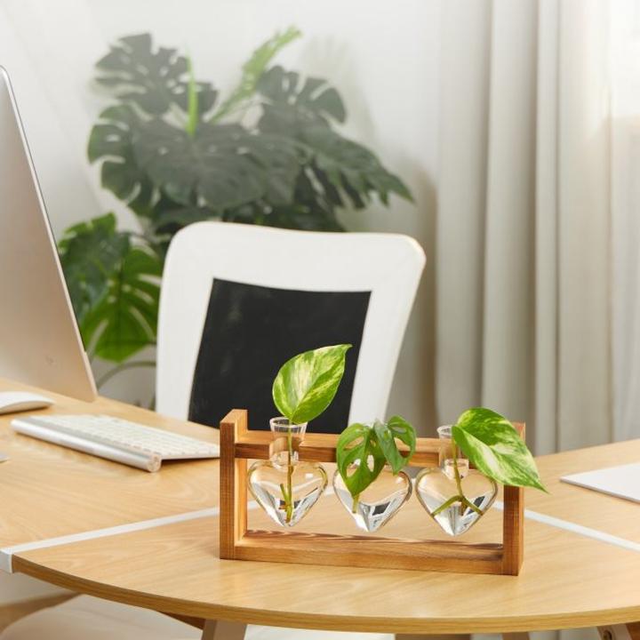 Produktbild Relaxdays Reagenzglas-Vase (1 x, 0.14 l)
