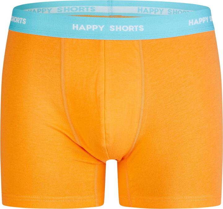 Image du produit Happy shorts Retro Boxer Jersey (M, Lot de 3)
