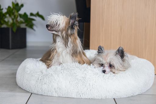 Produktbild Karlie Agnes (Hund)