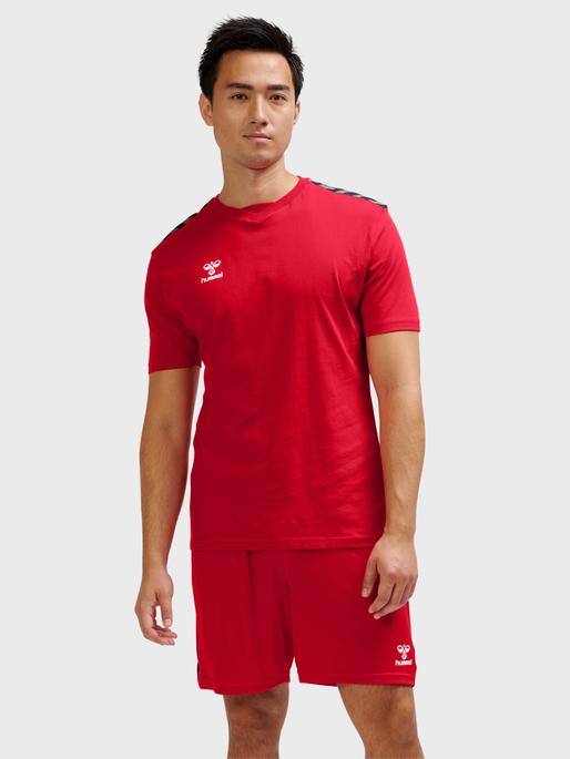 Produktbild hummel Hmlauthentic Co T-Shirt S/S (L)