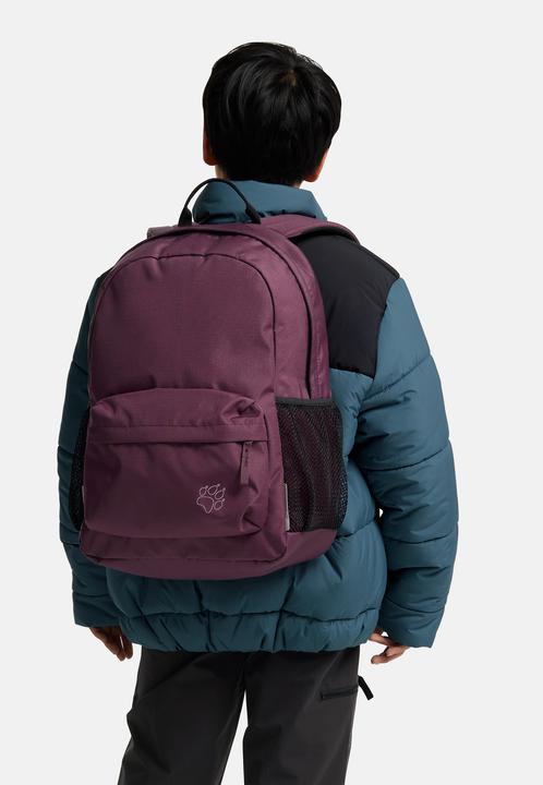 Actual product image Jack Wolfskin Back To School 25