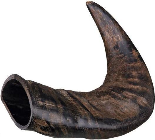Produktbild Trixie Natur-Kauhorn vom Büffel (Adult, 1 Stk., 0.58 g)