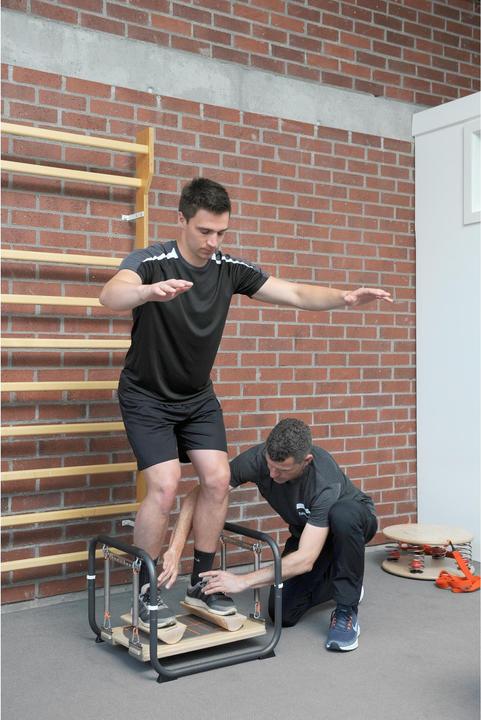 Actual product image Pedalo Stabilizer professional