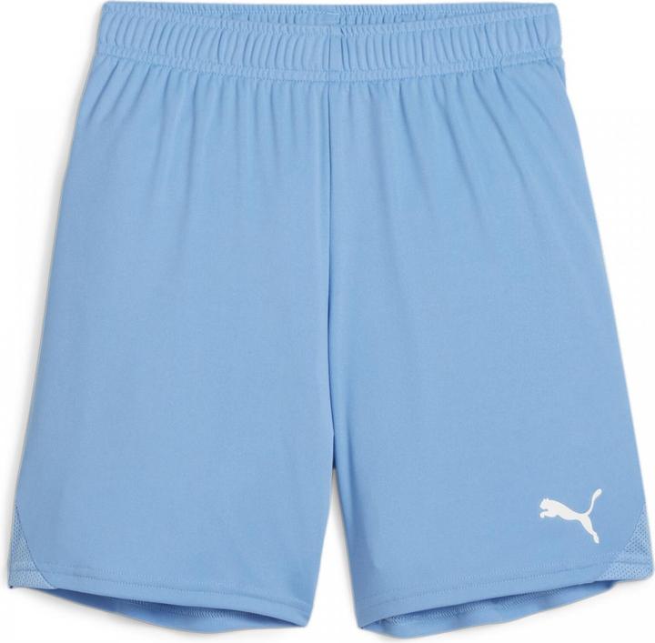 Actual product image Puma teamGOAL Shorts Jr (164)