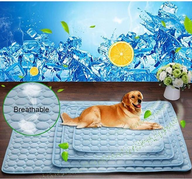 Image du produit MU Classic Ice Series (Chien, Chat)