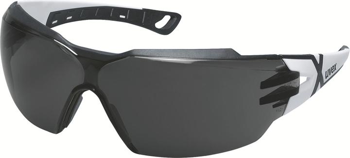Uvex Safety uvex pheos cx2 grey 14% sv exc. 9198230