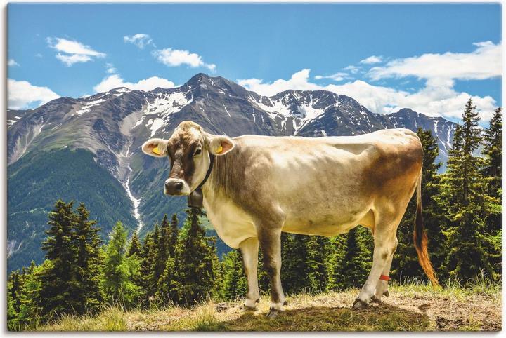 Image du produit Artland Vache de montagne dans les Alpes en été T1NN (120 x 80 cm)