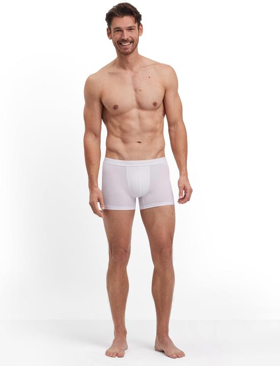 Immagine prodotto Falke Herren (XXL)