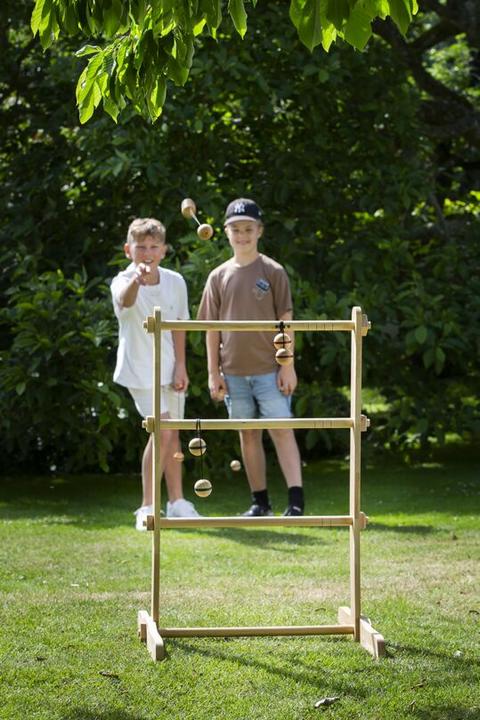 Image du produit Bex Sport Spin Ladder Pro