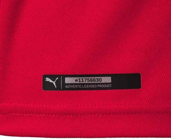 Actual product image Puma Home Jersey Serbia Wm 18 Kids (176)