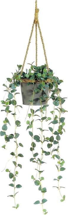 Produktbild Dekomat Hängepflanze (80 cm)