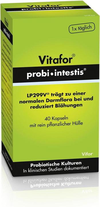 Actual product image Vitafor Probi-intestis (40 Piece, Capsules, 54 g)