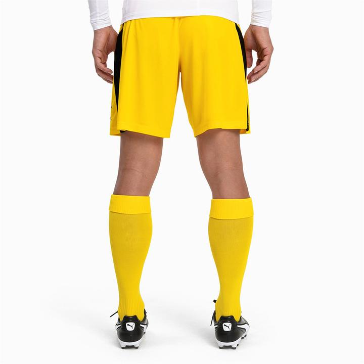 Produktbild Puma Team LIGA Socks CORE-703441 (39, 42)