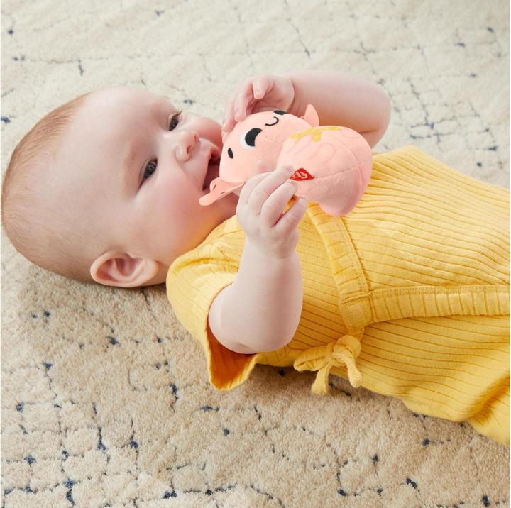 Produktbild Fisher-Price Sensorische Erlebnisse Geschenkset, 4 sensorische Spielzeuge mit feinmotorischen Aktivitäten für Bab