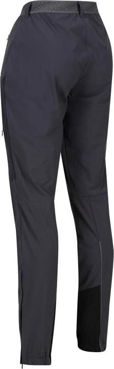 Actual product image Regatta Mountain Trousers III (40, L)