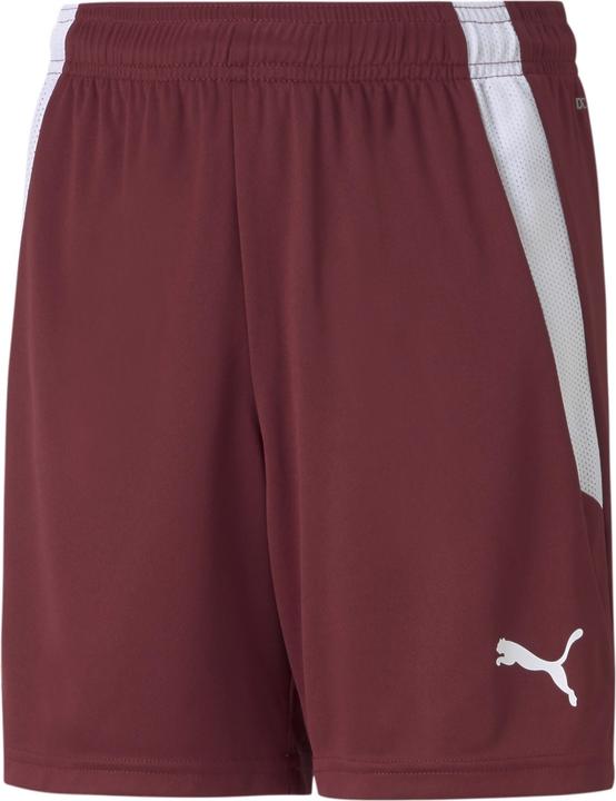 Puma teamLIGA Shorts Jr-704931