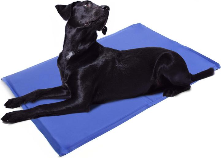Actual product image Fudajo Kühlmatte (Dog, Cat)
