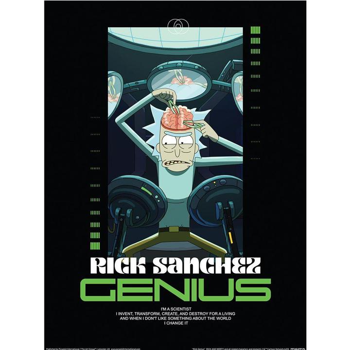 Image du produit Rick And Morty - Imprimé CLASSRICKAL RICK GENIUS (40 x 30 cm)