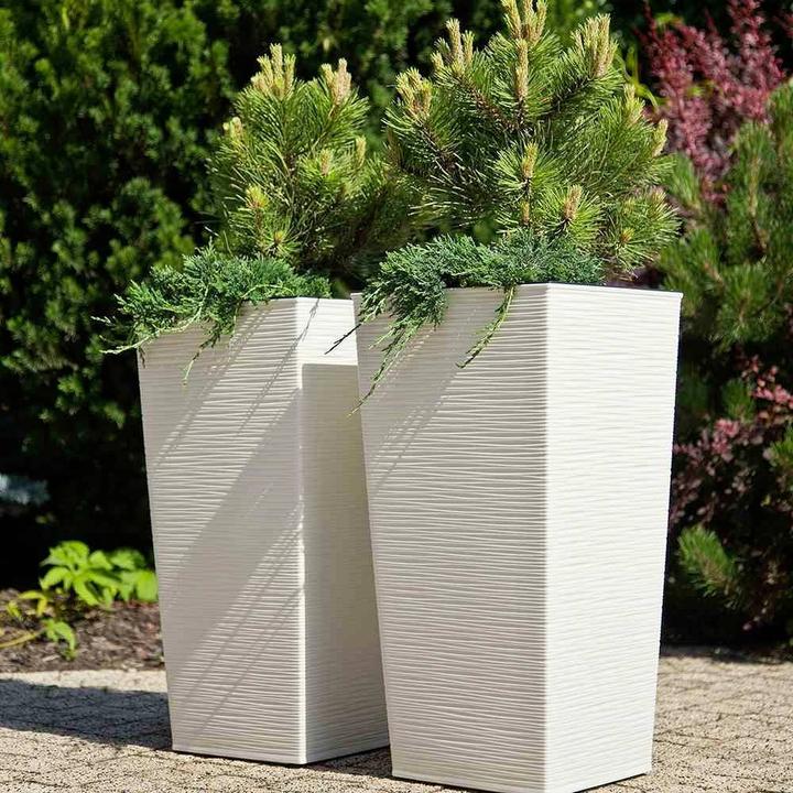 Immagine prodotto Siena Garden Modern (25 cm)