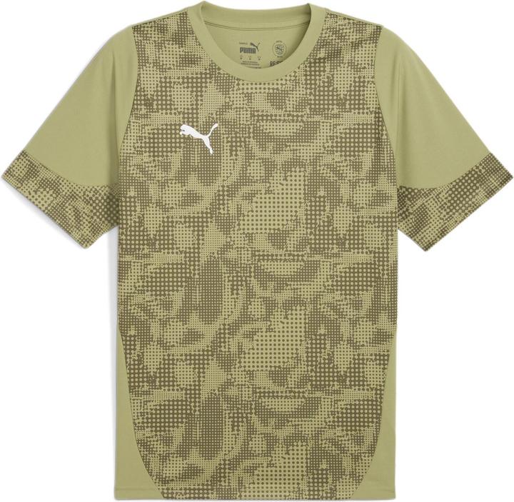 Puma teamCUP Training Jersey