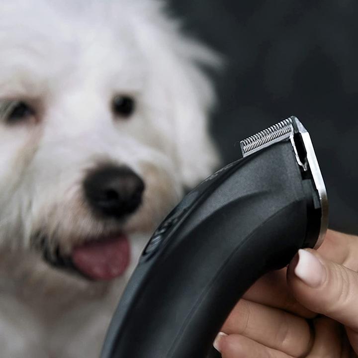Actual product image Agrarzone Schermaschine (Dog)