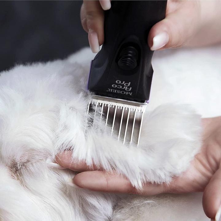 Actual product image Agrarzone Schermaschine (Dog)