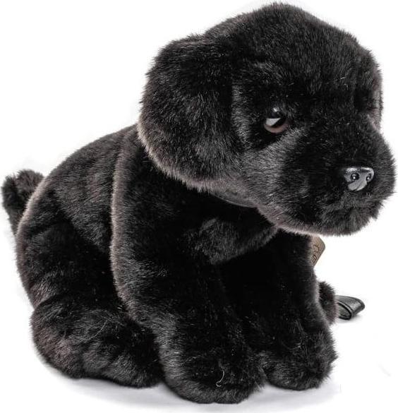 Produktbild Unitoys Plüsch Labrador schwarz mit Leine 22cm (23 cm)