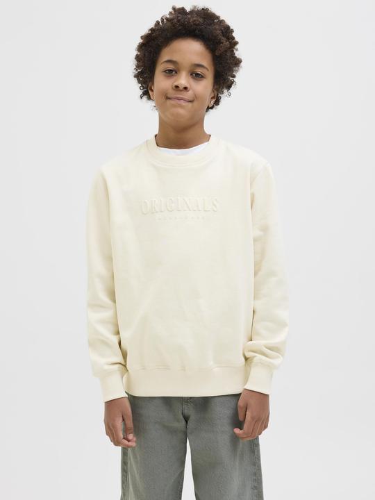 Actual product image Jack & Jones Gedruckt Sweatshirt Junior Sweatshirt (140)
