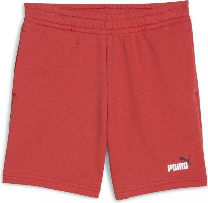 Actual product image Puma ESS 2 COLOR No. 1 Logo Shorts TR B (164)