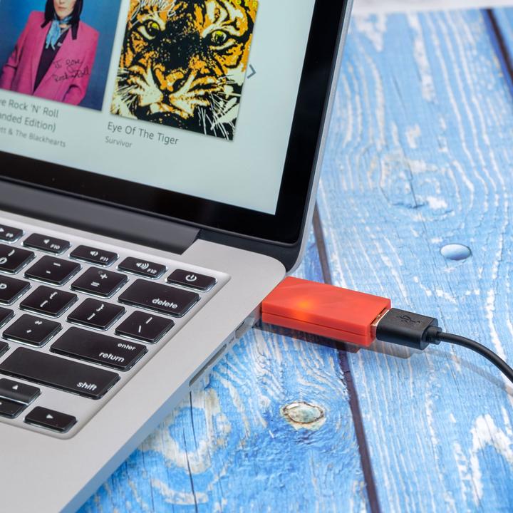 Immagine prodotto iFi Audio iDefender+ USB A – USB A (Convertitore audio)