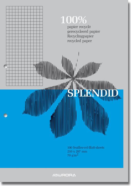 Actual product image Aurora Notepad Splendid Glued DIN A4 Plaid paper Assorted colours D102RQ5 (A4, Checked)