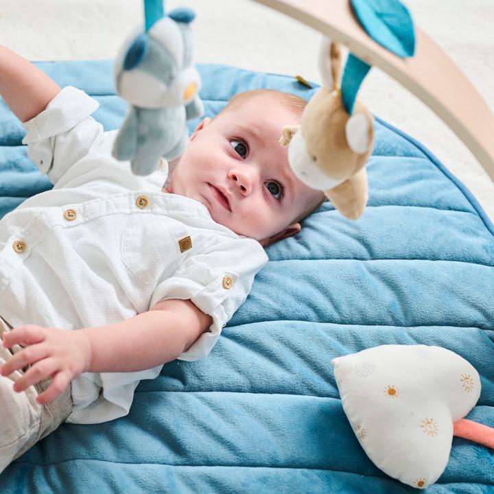 Image du produit Nattou Félix et Léo avec arches