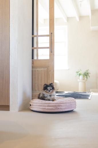 Image du produit Designed by Lotte Coussin de repos Reza (Chien)