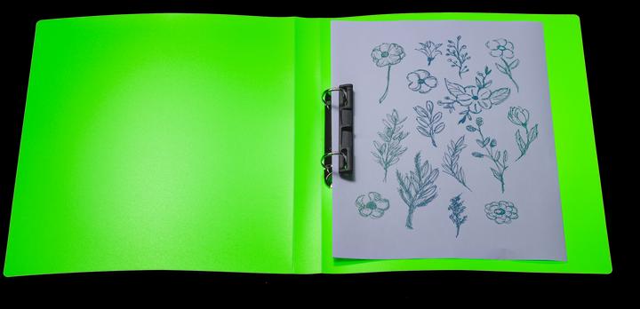 Actual product image HERMA Ring binder A4 neon translucent (A4, 25 mm, 1 Piece)