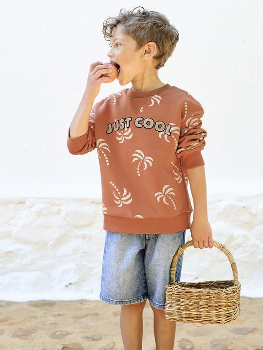 Produktbild Vertbaudet Jungen Sweatshirt mit Frottee-Motiv und Recycling-Polyester (158)